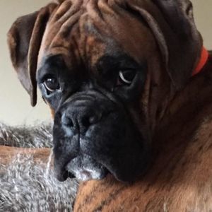 Meet your Posher, Cheryl